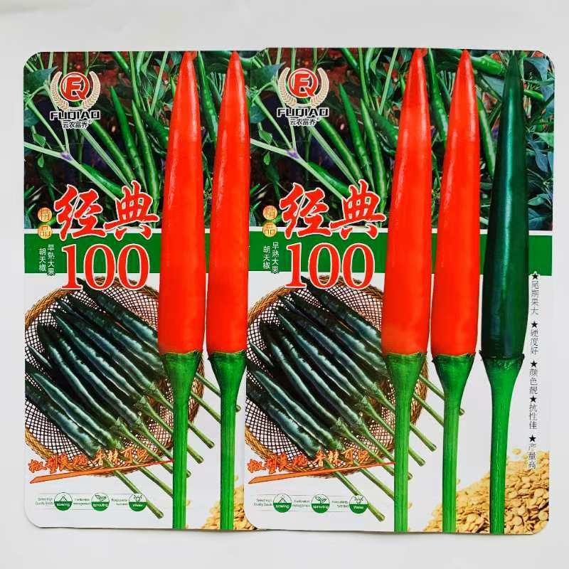 富乔红典100朝天椒种子早熟抗病强高产大果型朝天椒种子香