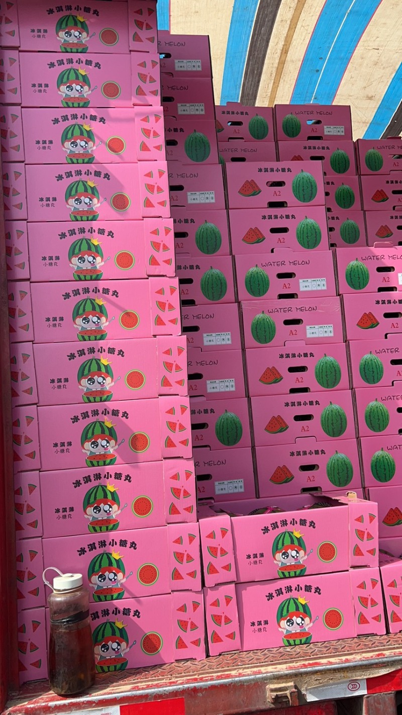 2k西瓜（吊瓜）山东潍坊总产区，保质保量