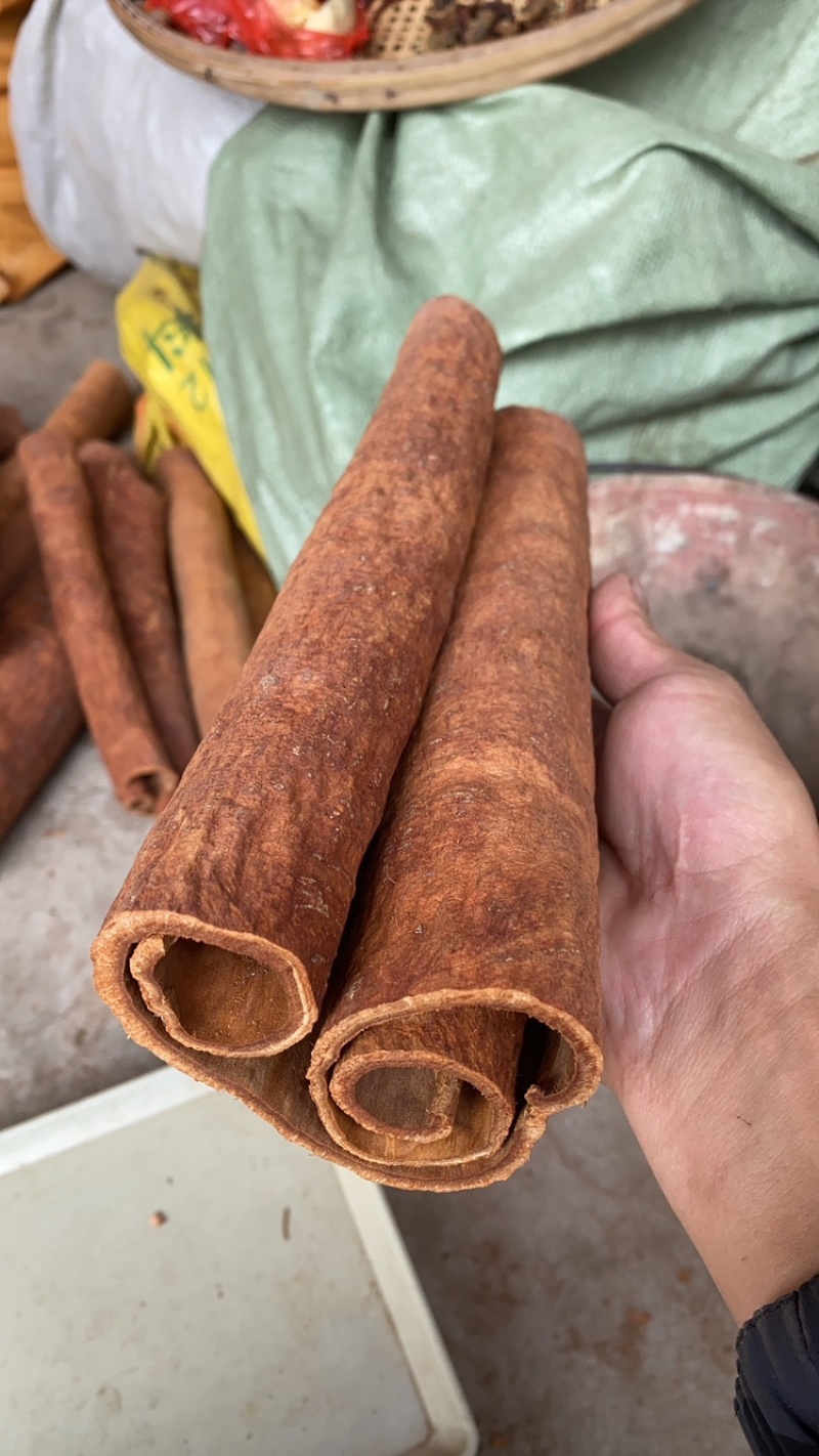 广西高山油桂，药引用，煲汤佳品，天然形成的油层，香味更好