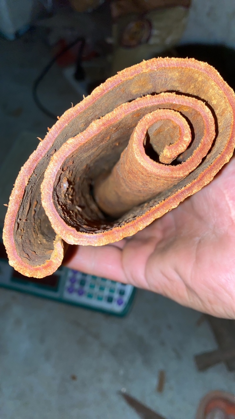 广西高山油桂，药引用，煲汤佳品，天然形成的油层，香味更好