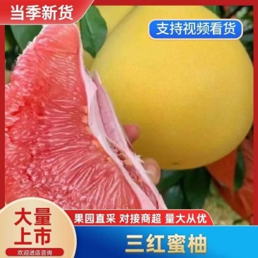 【精选】四川三红柚供应市场商超电商量大价优