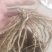 芦笋苗电商苗量大从优种植专用苗各规格优选极速发货