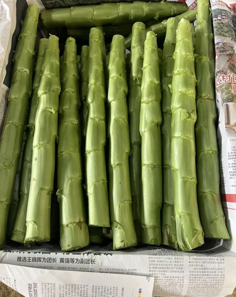 云南精品莴笋杆子，产地直发，品质保证，量大从优，欢迎来电
