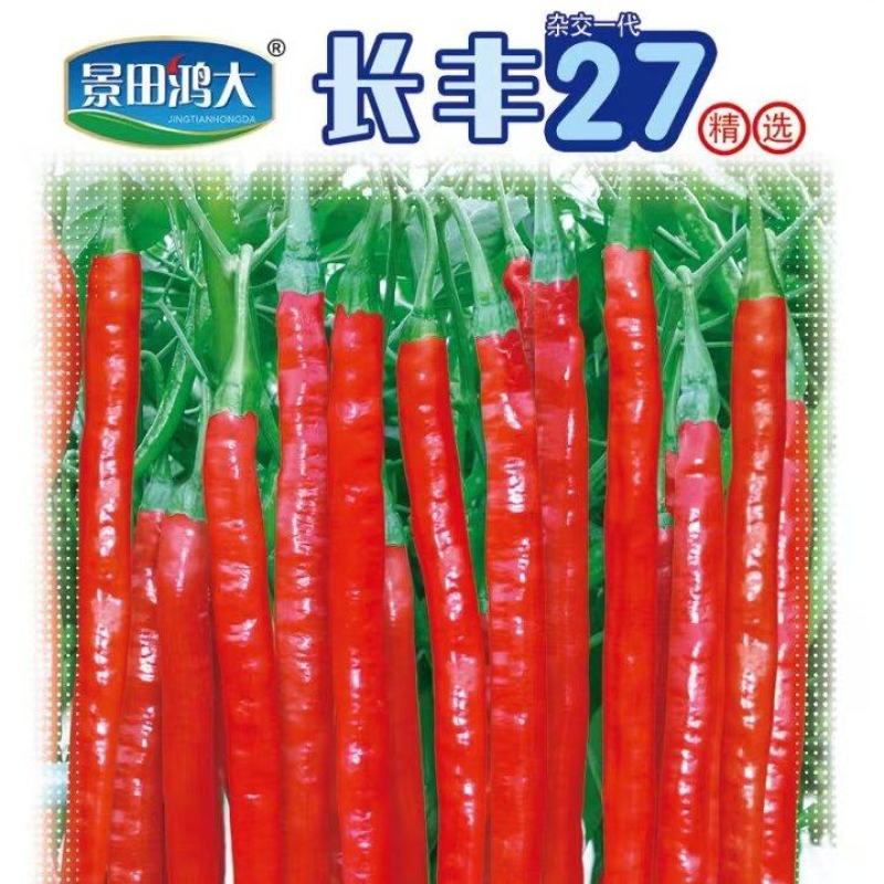 辣椒种子长丰27红椒