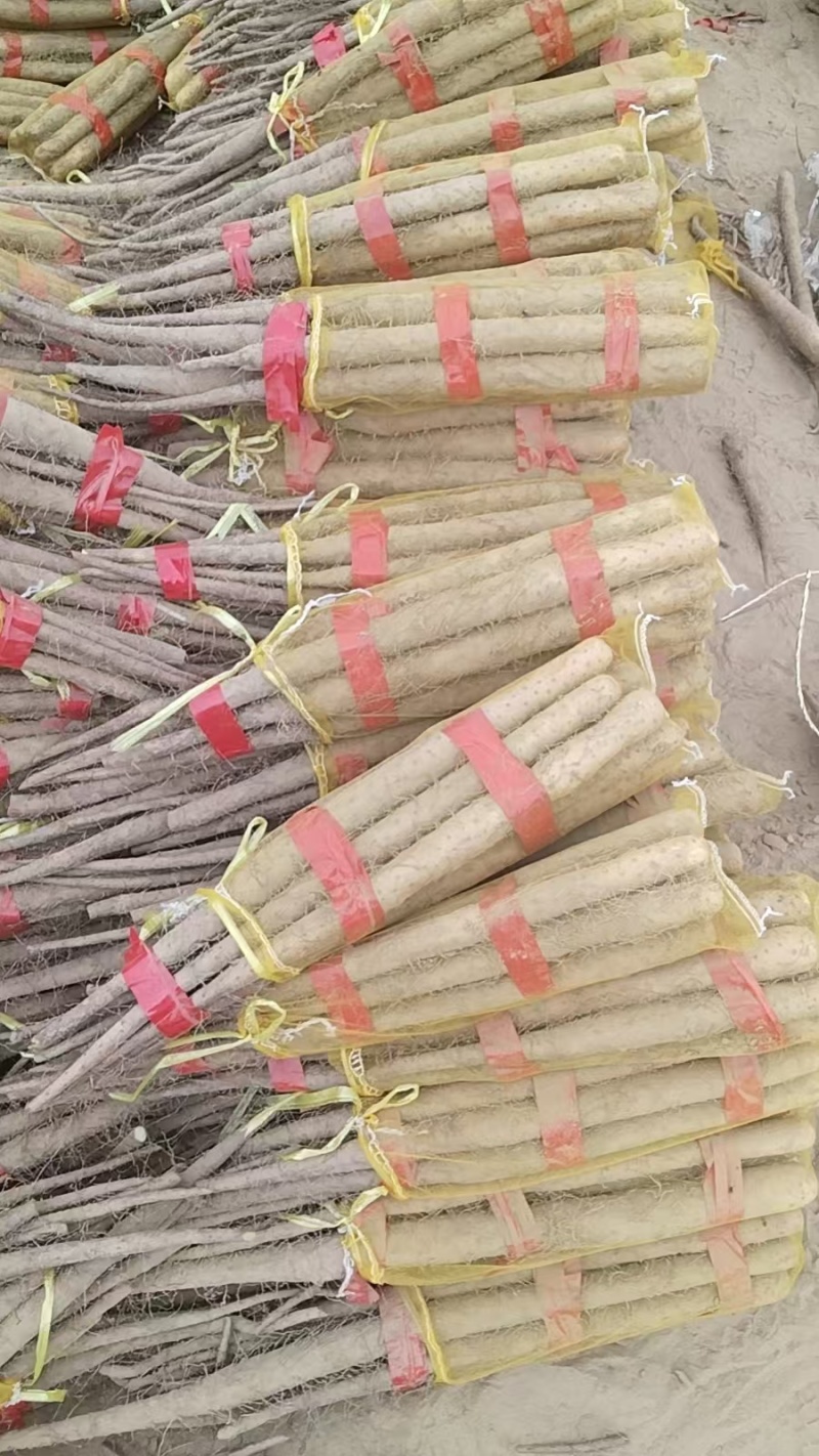 精品山药，双棒麻山药等品种齐全，价格便宜，诚信经营