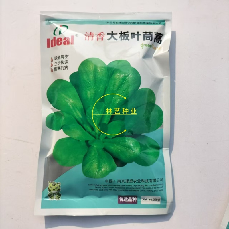 理想清香大板叶茼蒿种子耐寒优质农家田园春夏秋播蔬菜种孑