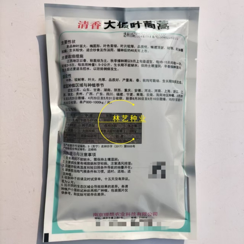 理想清香大板叶茼蒿种子耐寒优质农家田园春夏秋播蔬菜种孑