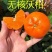 新品种无核沃柑柑橘苗晚熟大果无籽果树嫁接苗