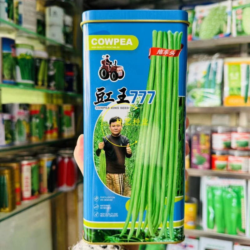 拖车头豇王777豇豆种子口感好翠绿长荚高产耐热商品性佳