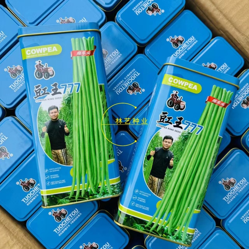 拖车头豇王777豇豆种子口感好翠绿长荚高产耐热商品性佳