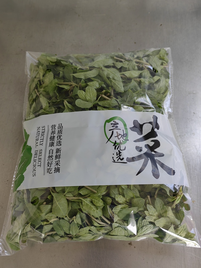 枸杞芽