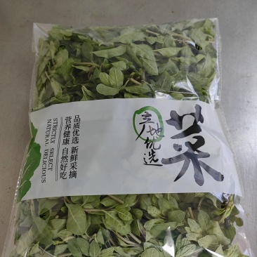 枸杞芽