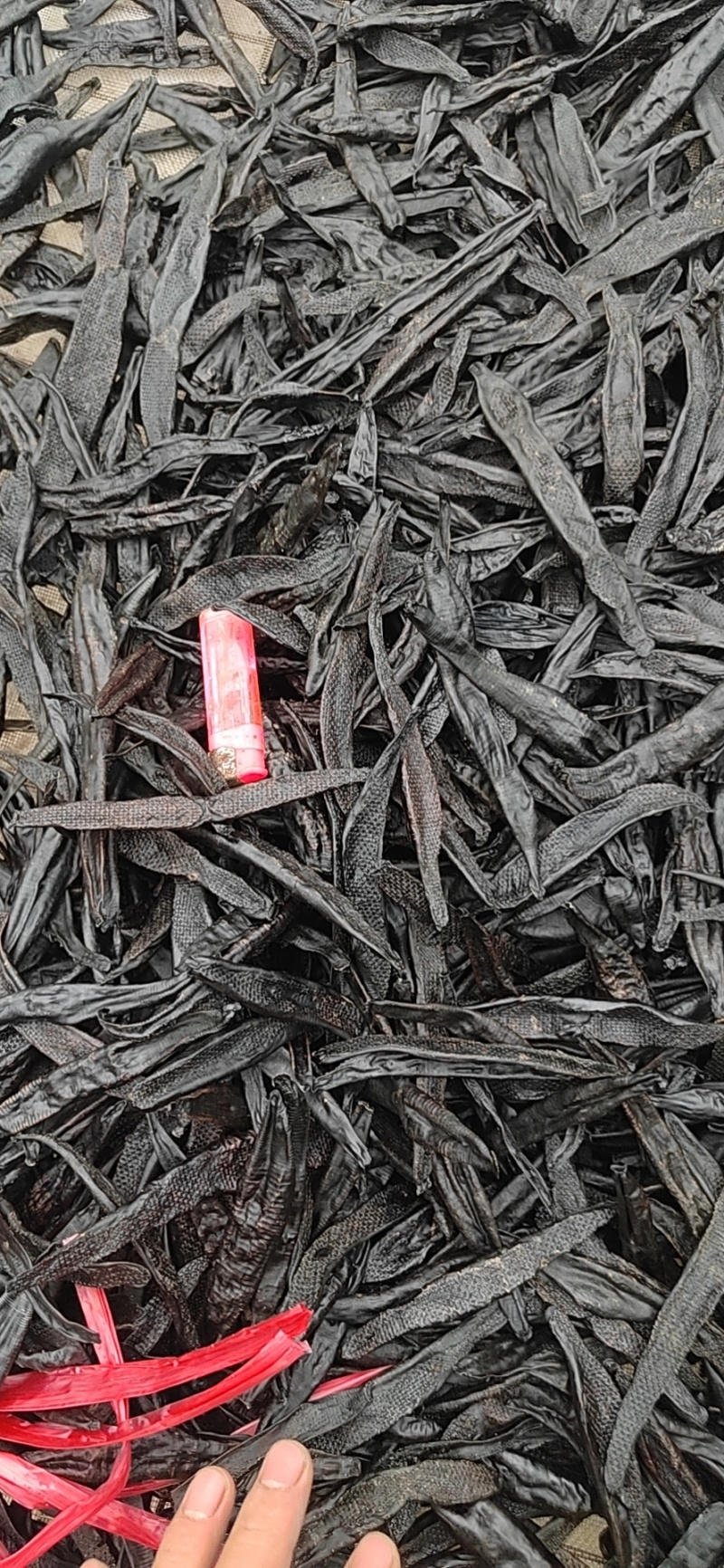 血水蛭干品，菲牛冻干品，量大价优，支持看货