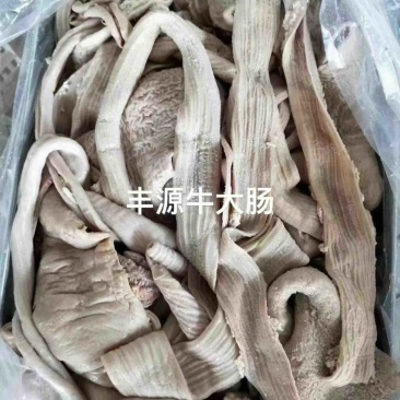 丰源牛大肠价格美丽质量保证厂家直销欢迎老板咨询