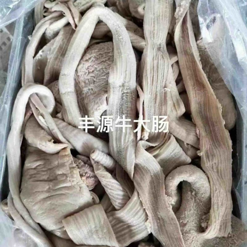丰源牛大肠价格美丽质量保证厂家直销欢迎老板咨询