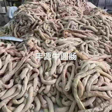 丰源牛圆肠，厂家直销，价格美丽，欢迎各位老板咨询。