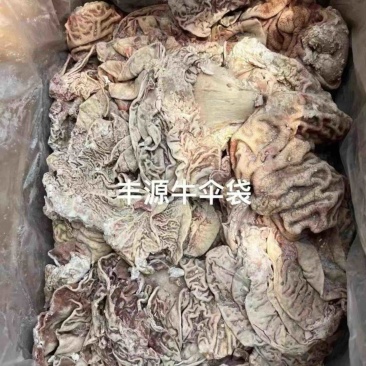 丰源牛伞袋牛副产品厂家直销质量保证量大优惠