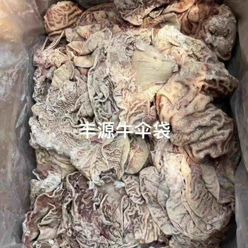丰源牛伞袋牛副产品厂家直销质量保证量大优惠