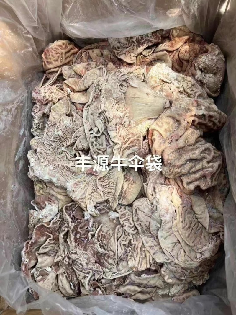 丰源牛伞袋牛副产品厂家直销质量保证量大优惠