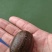 宽体吊杆，纯清水保过药检，产地自销