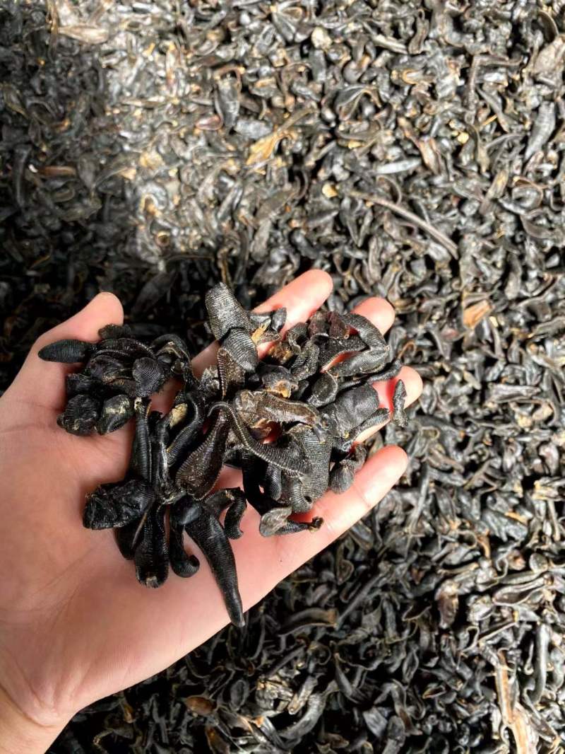 宽体吊杆，纯清水保过药检，产地自销