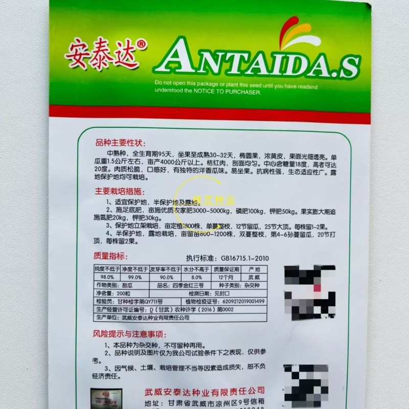 四季金红三号中熟甜瓜种子椭圆果浓黄皮单瓜重1.5公斤桔红