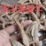 冻干条（菲牛+医蛭）冻干粉加工，宽体冻干条，零下70度作