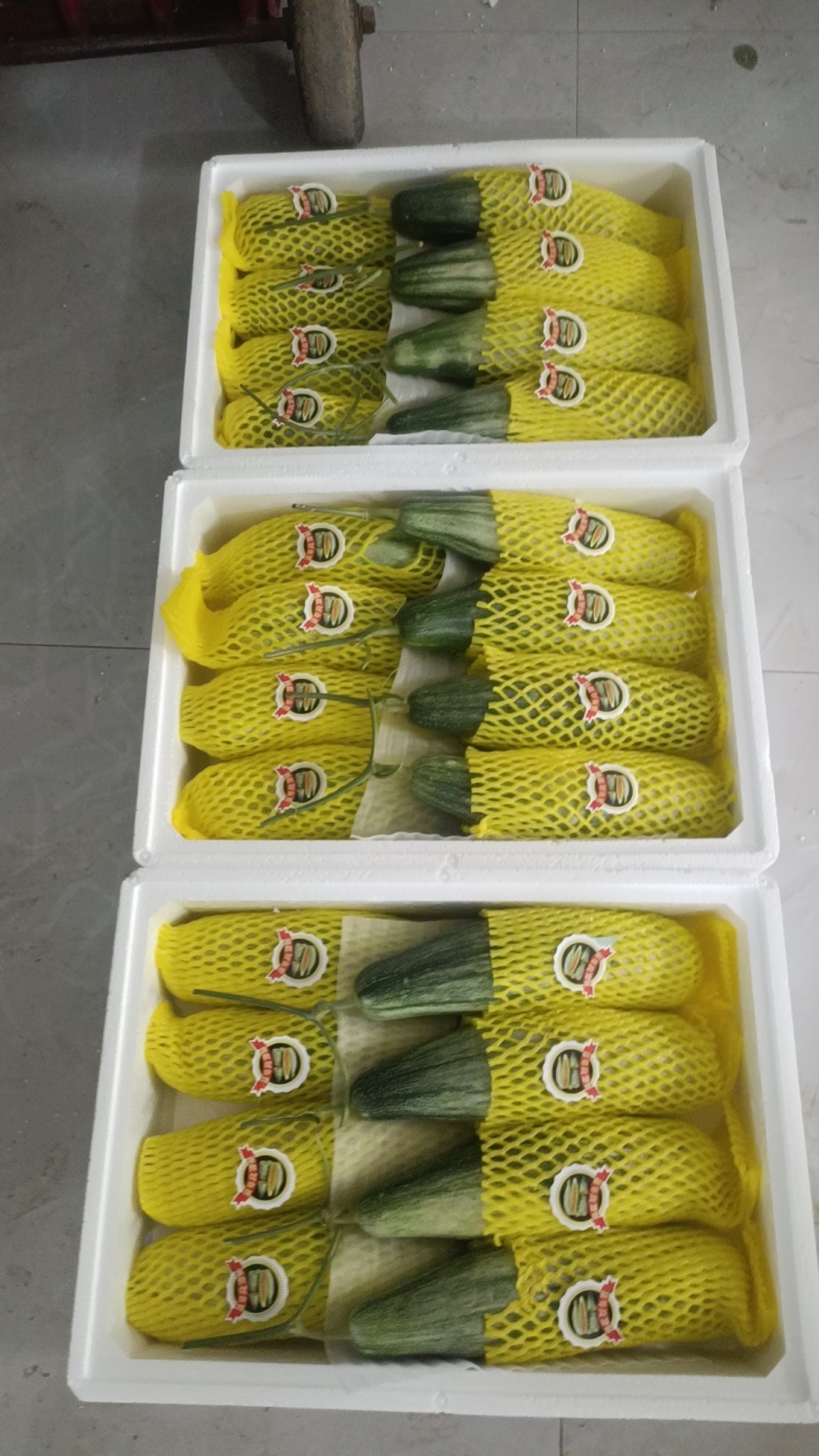 山东潍坊羊角蜜甜瓜大量上市价钱便宜需要的联系