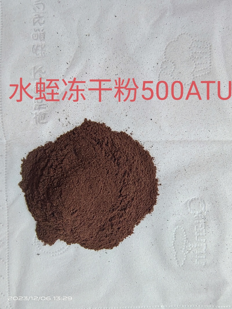 冻干条（菲牛+医蛭）冻干粉加工，宽体冻干条，零下70度作