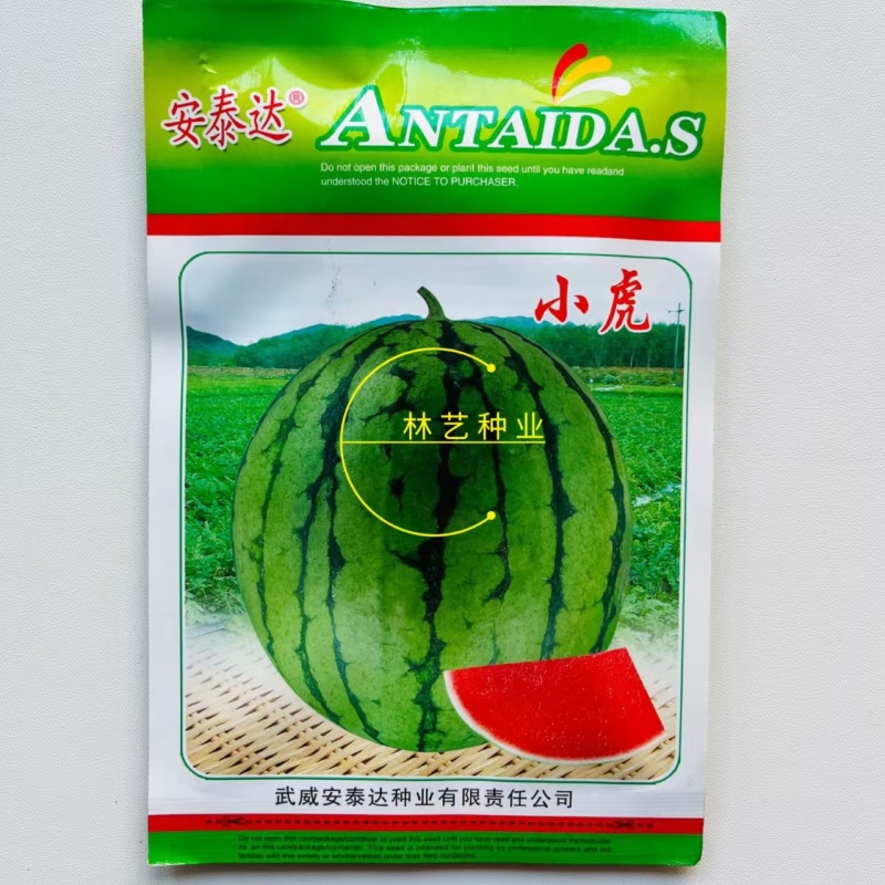 安泰达小虎西瓜种子特早熟抗病小果型礼品西瓜种籽口感特