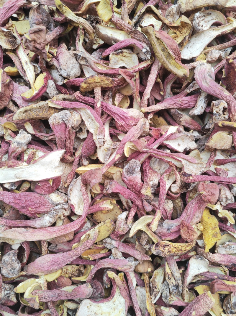 野生菌红葱菌，高脚红葱菌，无霉无杂干度好，味道鲜美可口