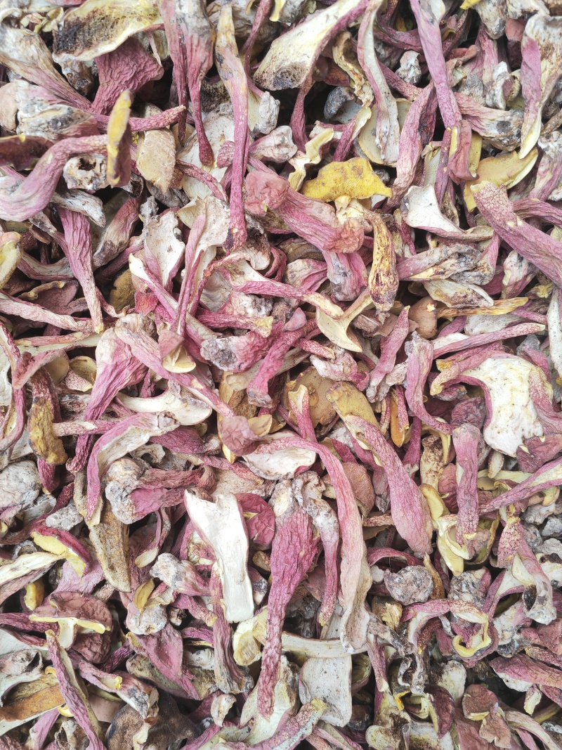 野生菌红葱菌，高脚红葱菌，无霉无杂干度好，味道鲜美可口