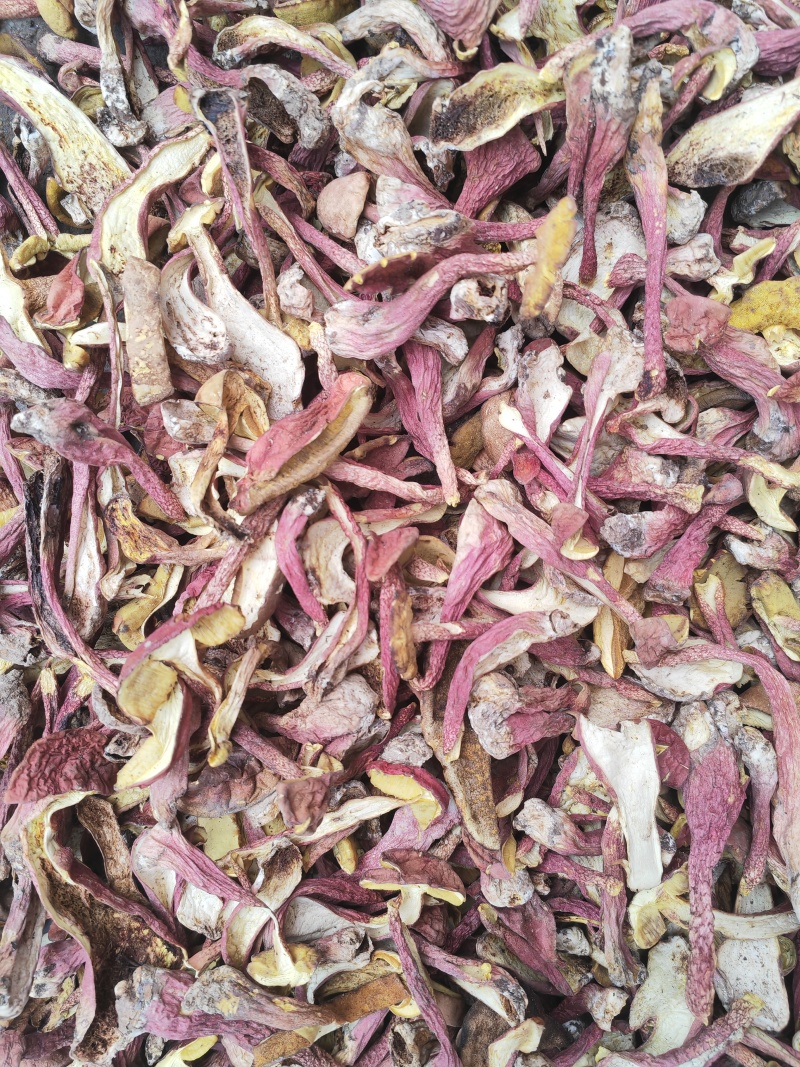 野生菌红葱菌，高脚红葱菌，无霉无杂干度好，味道鲜美可口