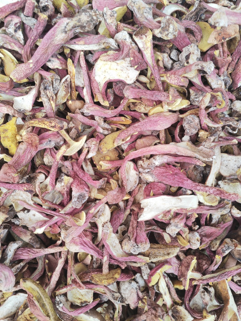 野生菌红葱菌，高脚红葱菌，无霉无杂干度好，味道鲜美可口