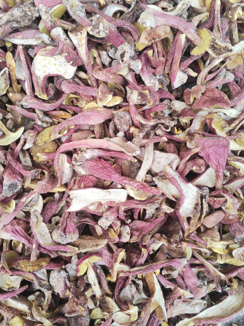 野生菌红葱菌，高脚红葱菌，无霉无杂干度好，味道鲜美可口