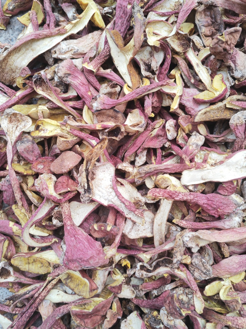 野生菌红葱菌，高脚红葱菌，无霉无杂干度好，味道鲜美可口