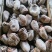 沂蒙老树牛心柿降霜柿饼