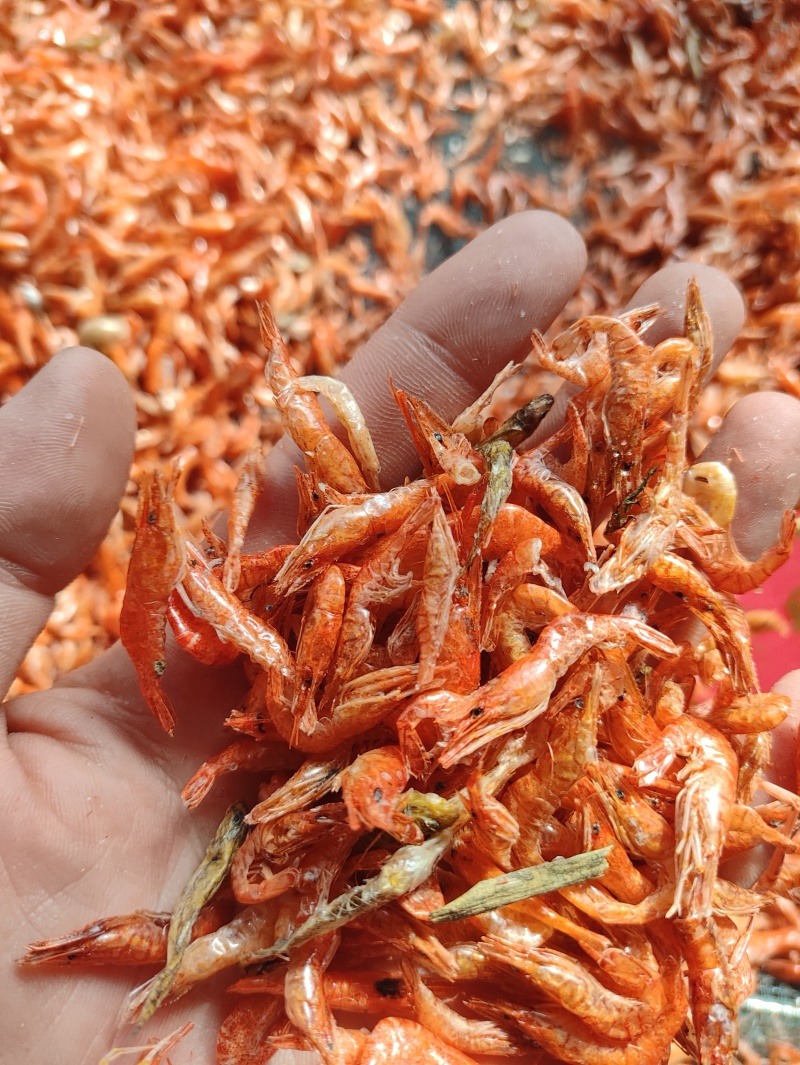 虾干河虾干烤虾干淡水虾干红虾干草虾干