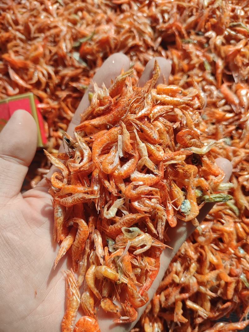 虾干河虾干烤虾干淡水虾干红虾干草虾干