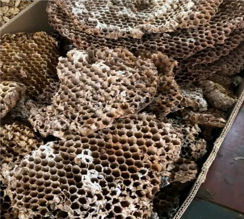 野生蜂房山蜂房蜂壳马蜂窝露蜂房干货大量供应批发零售