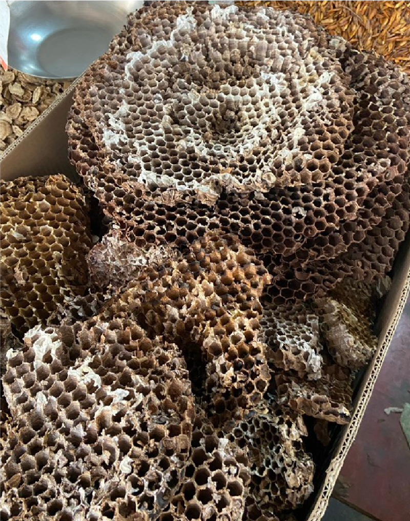 野生蜂房山蜂房蜂壳马蜂窝露蜂房干货大量供应批发零售