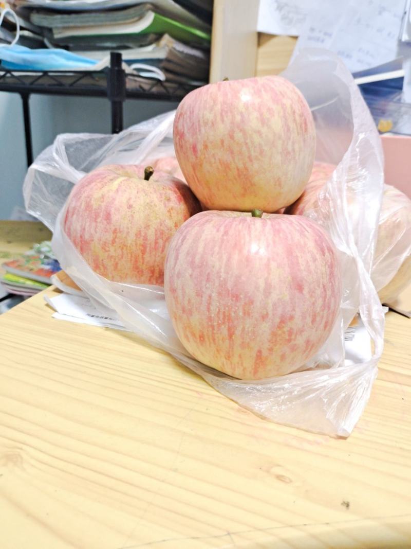 沂蒙山区红富士苹果产地现摘市场选货，支持电商、商超、批发