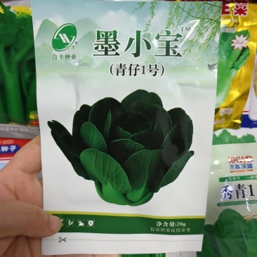 墨小宝黑叶青梗菜宁夏矮脚苏州青菜种籽上海青菜种子耐寒菜种