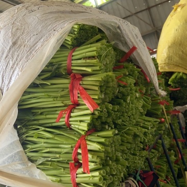 新鲜空心菜，漳州当地产，品质保证，快来选购！