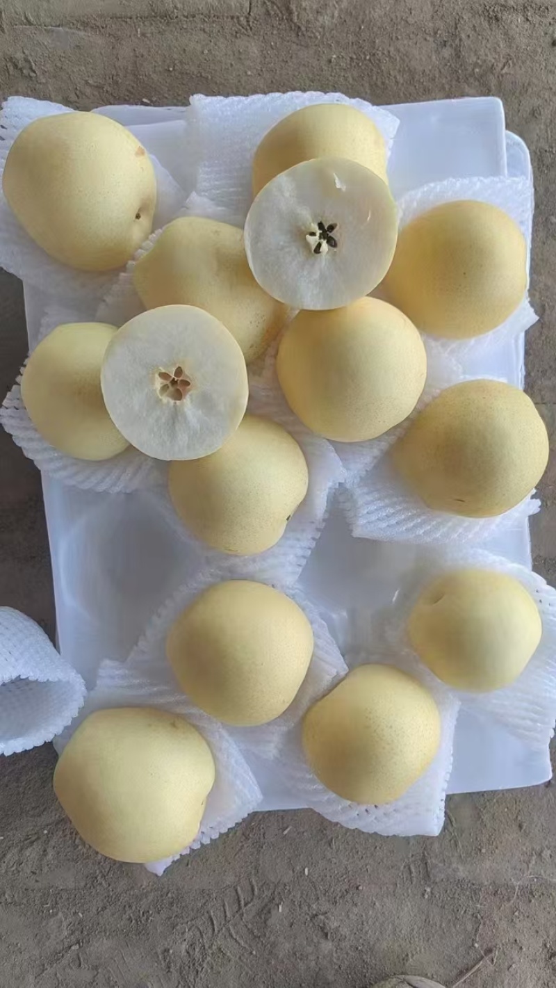 黄冠梨
