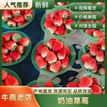 【贵妃草莓】精品草莓，天仙醉草莓，现摘现发，诚信经营