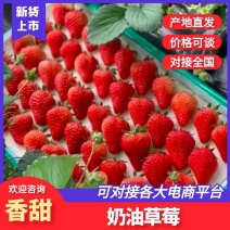天仙醉草莓让你诺诺的感觉甜甜的感觉，贵妃让你香甜入喉，
