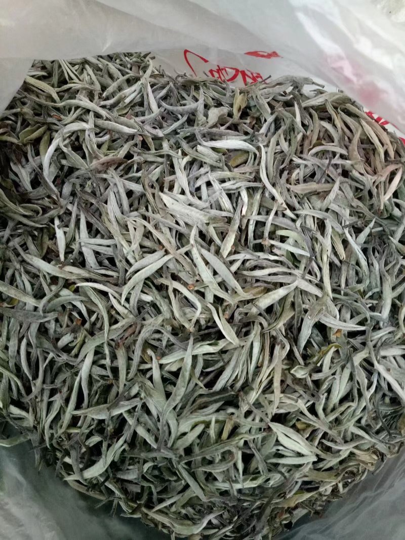 生态茶哀牢山生态手工茶