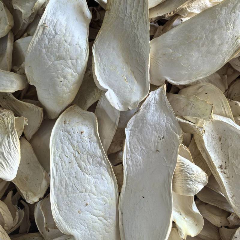 杏鲍菇片嫩仔颗粒等