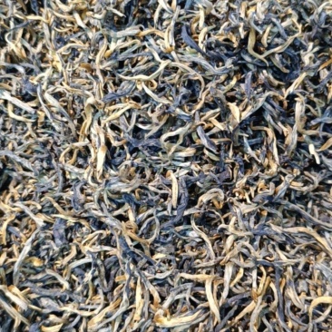 凤庆滇红茶产地价批发滇红毛锋
